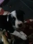 Sem nome todos filho