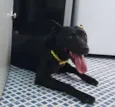 LUI
