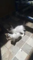 luz e vida