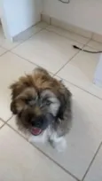 bili