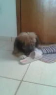 bili