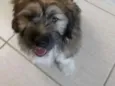 bili
