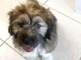 bili