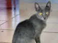 Joaquim 
