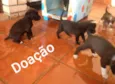 Ainda não tem nome 