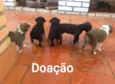 Ainda não tem nome 