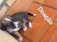Ainda não tem nome 