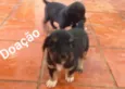 Ainda não tem nome 