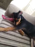 Lili