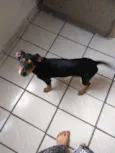 Lili
