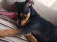 Lili