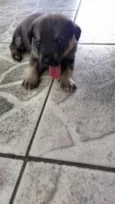 PITOCO