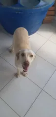 Lili