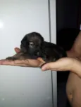 Ainda não tem