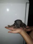Ainda não tem