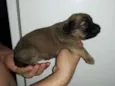Ainda não tem