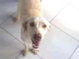 Lili