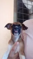Sem nome