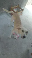 Marley