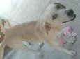 Marley