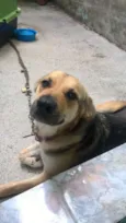 Marshal