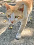 Zé 