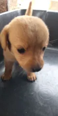 Bebê