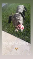 Boni