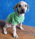 LEANDRINHO