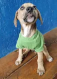 LEANDRINHO