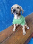LEANDRINHO