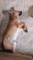 Billy