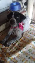 Pakita