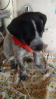 Pakita