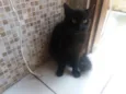 Ernesto