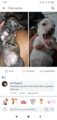 Sem nome