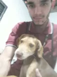 Amarela, Princesa e
