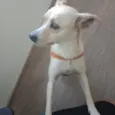 Déda