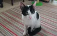 Spock