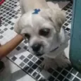 Bob