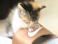 KYARA