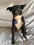 Matilda