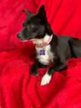 Matilda