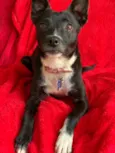 Matilda