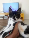 Armim