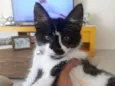 Armim