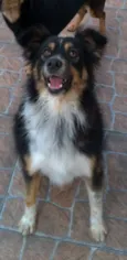 Benedito