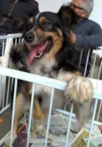 Benedito