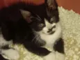 Charlie