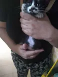 Charlie